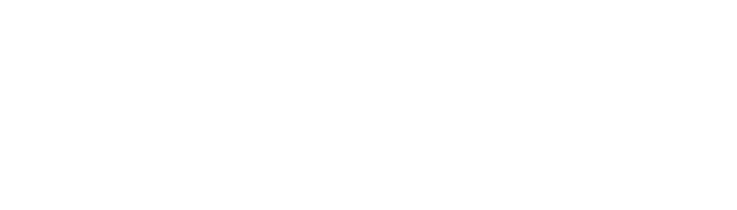 Understanding cyber risk