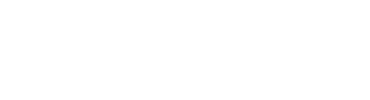 Cyber Liability Insurance 