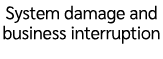 System damage and business interruption