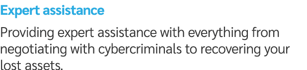Expert assistance Providing expert assistance with everything from negotiating with cybercriminals to recovering your...